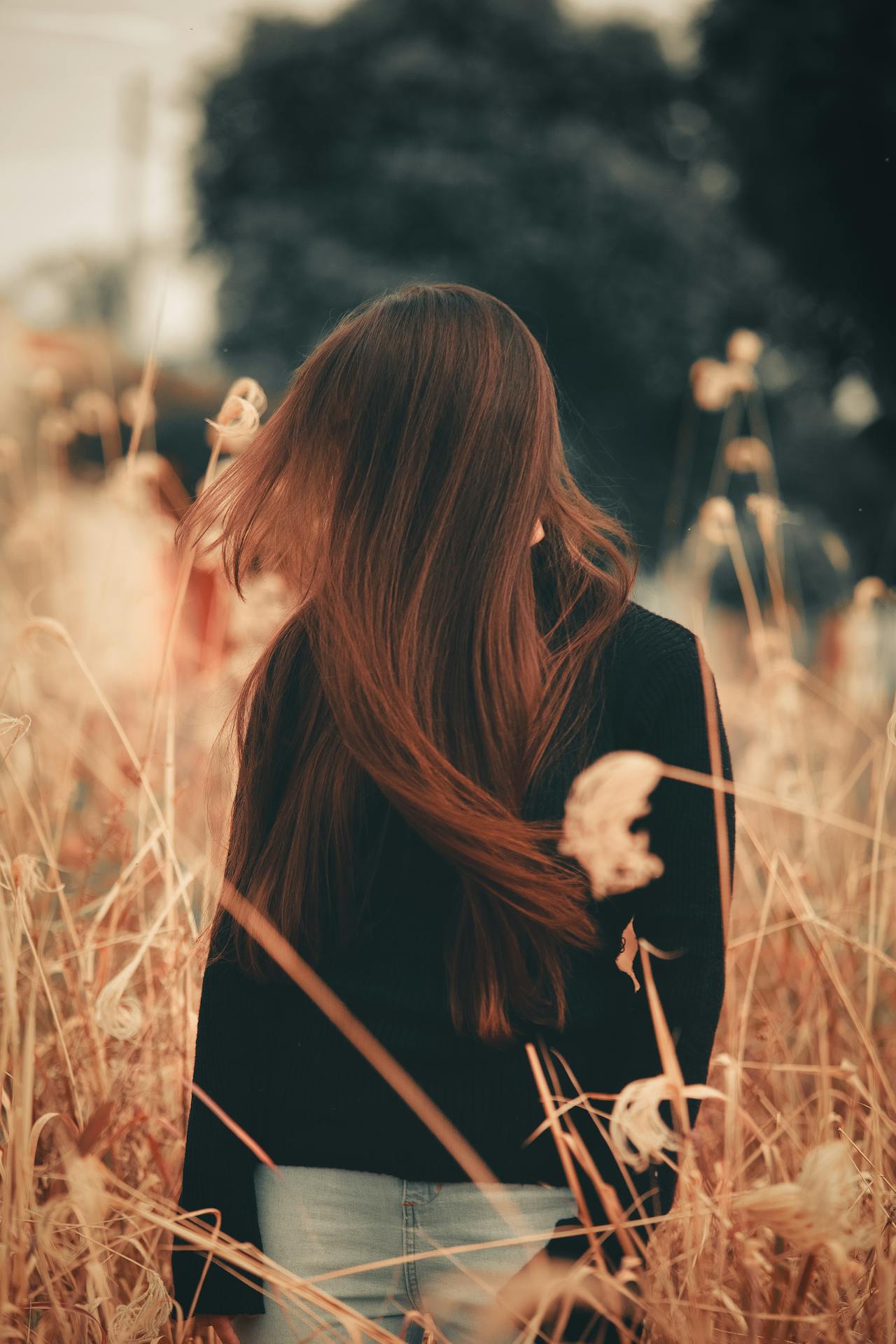 Best Hair in Alexandria, VA — 2026 Guide