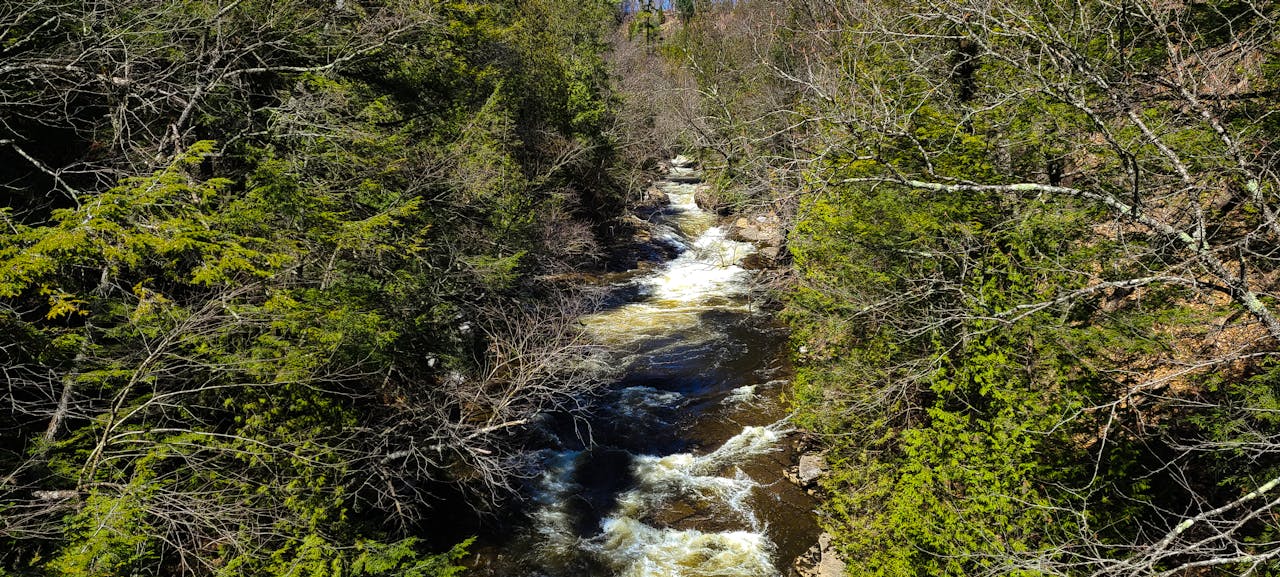 Best Hair in Oxon Hill, MD — 2026 Guide