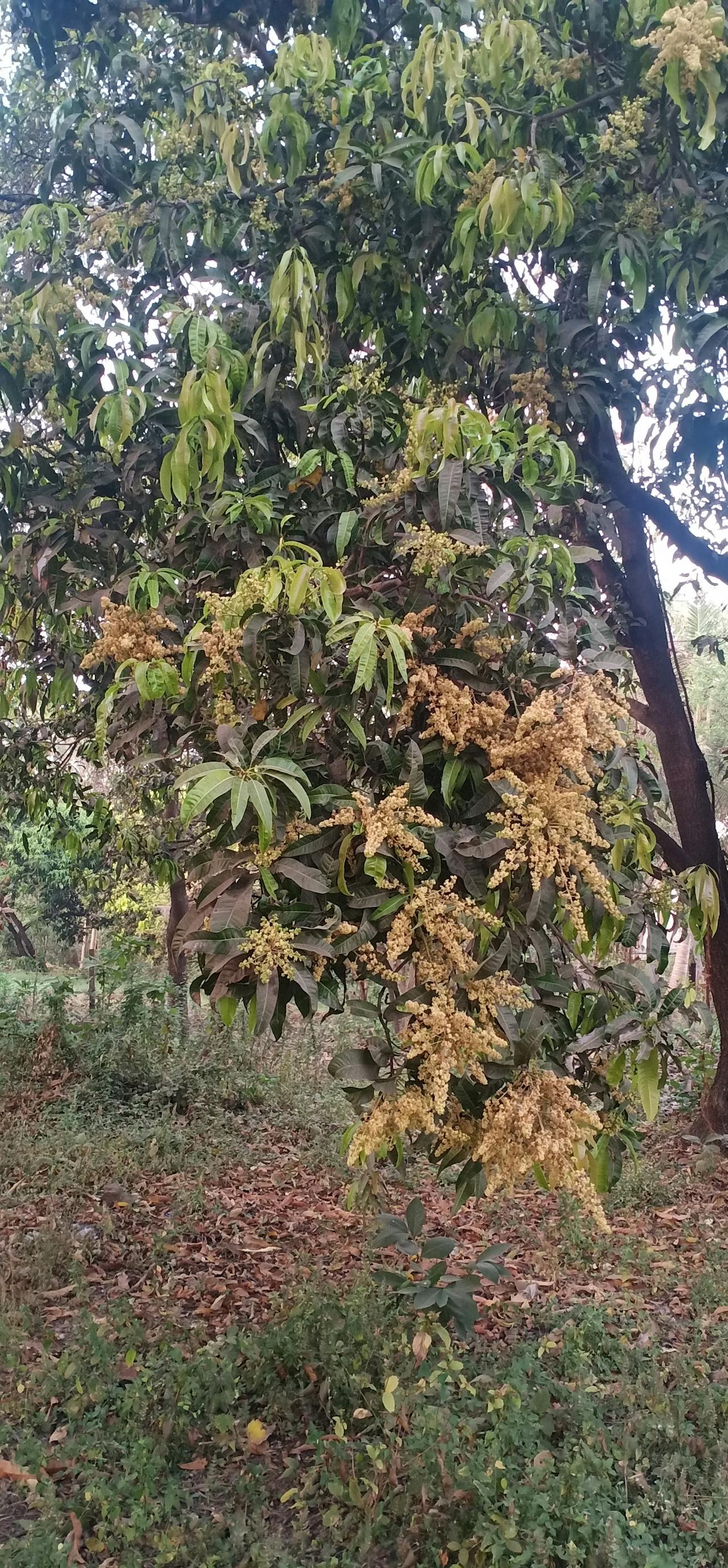 Best Hair in Scottsdale, AZ — 2026 Guide