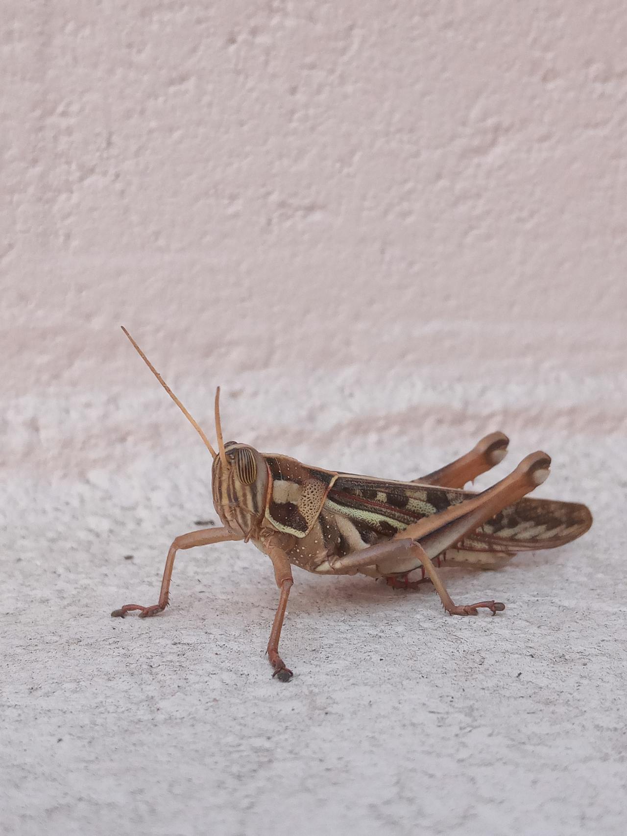 Best Hair in Tennessee — 2026 Guide