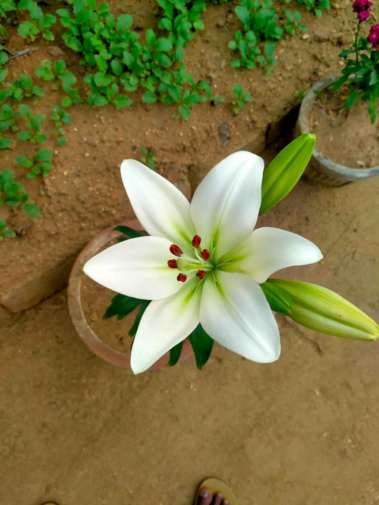 Top 11 Hair & Styling Spots in Arizona You Need to Visit