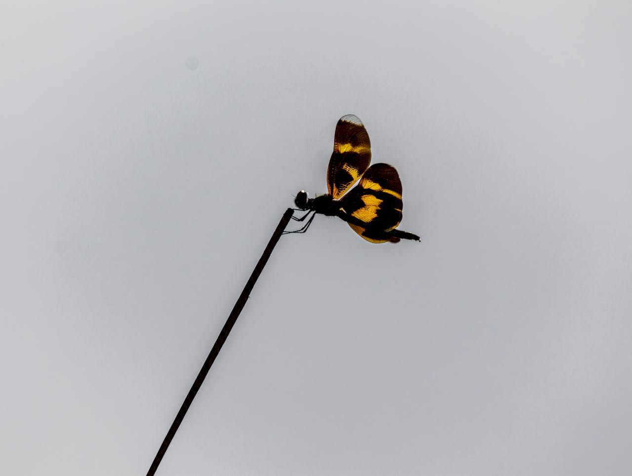 Top 2 Hair & Styling Spots in Baltimore, MD You Need to Visit