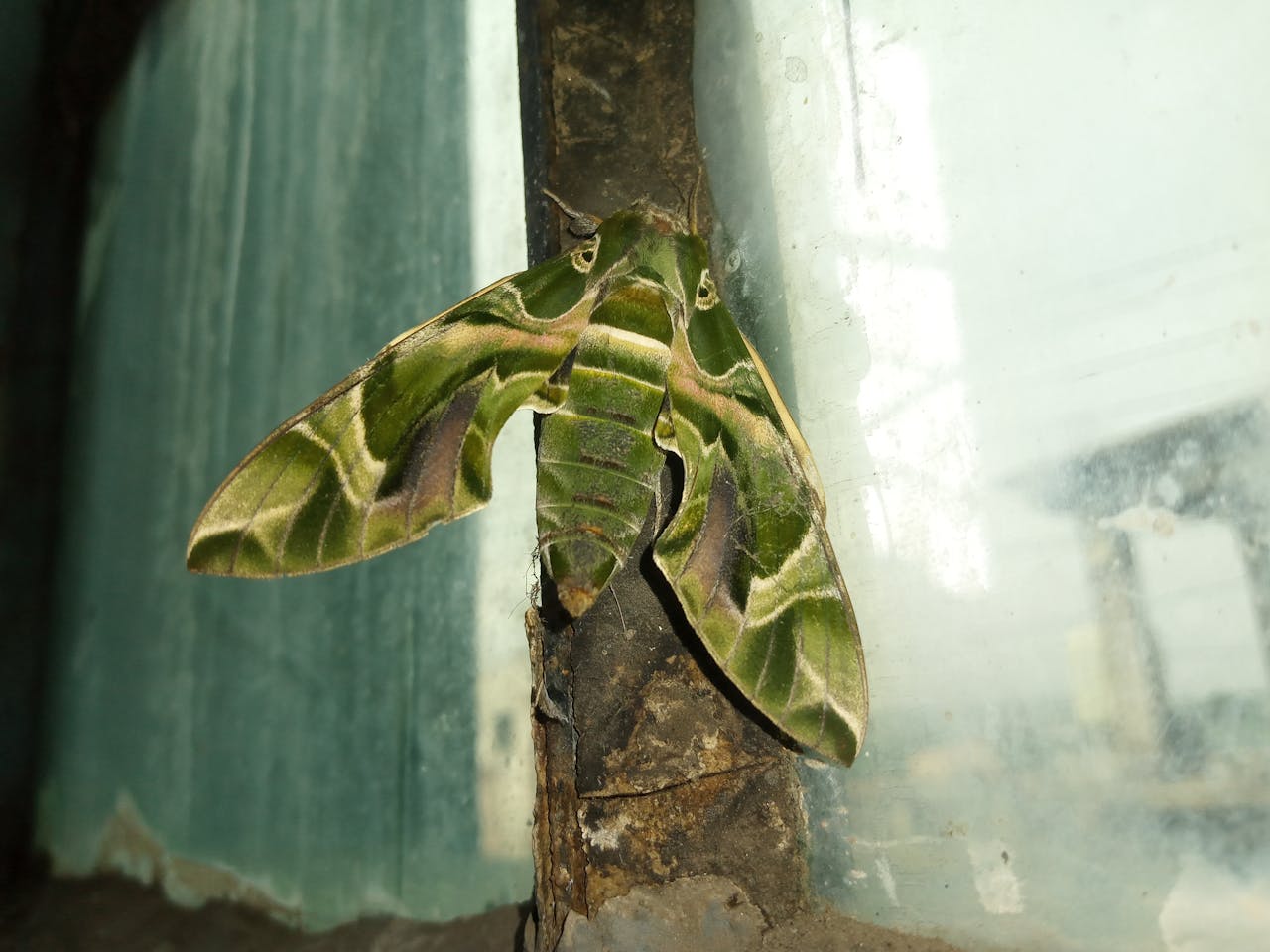 Top 2 Hair & Styling Spots in Boca Raton, FL You Need to Visit