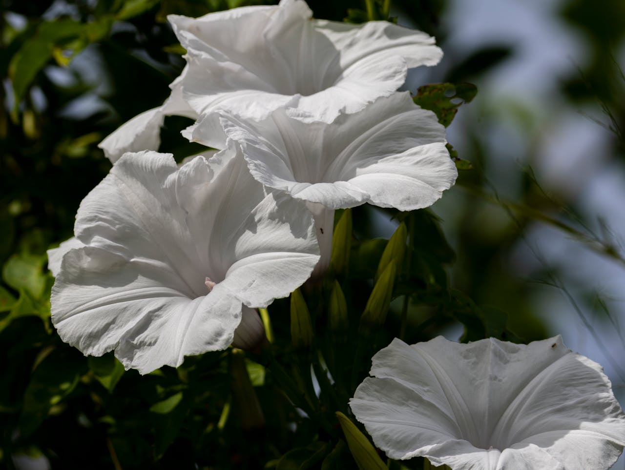 Top 2 Hair & Styling Spots in Cleveland, OH You Need to Visit