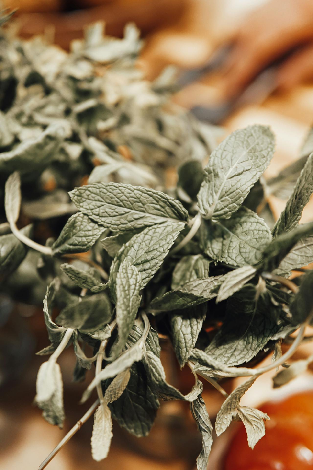 Top 2 Hair & Styling Spots in Columbus, GA You Need to Visit