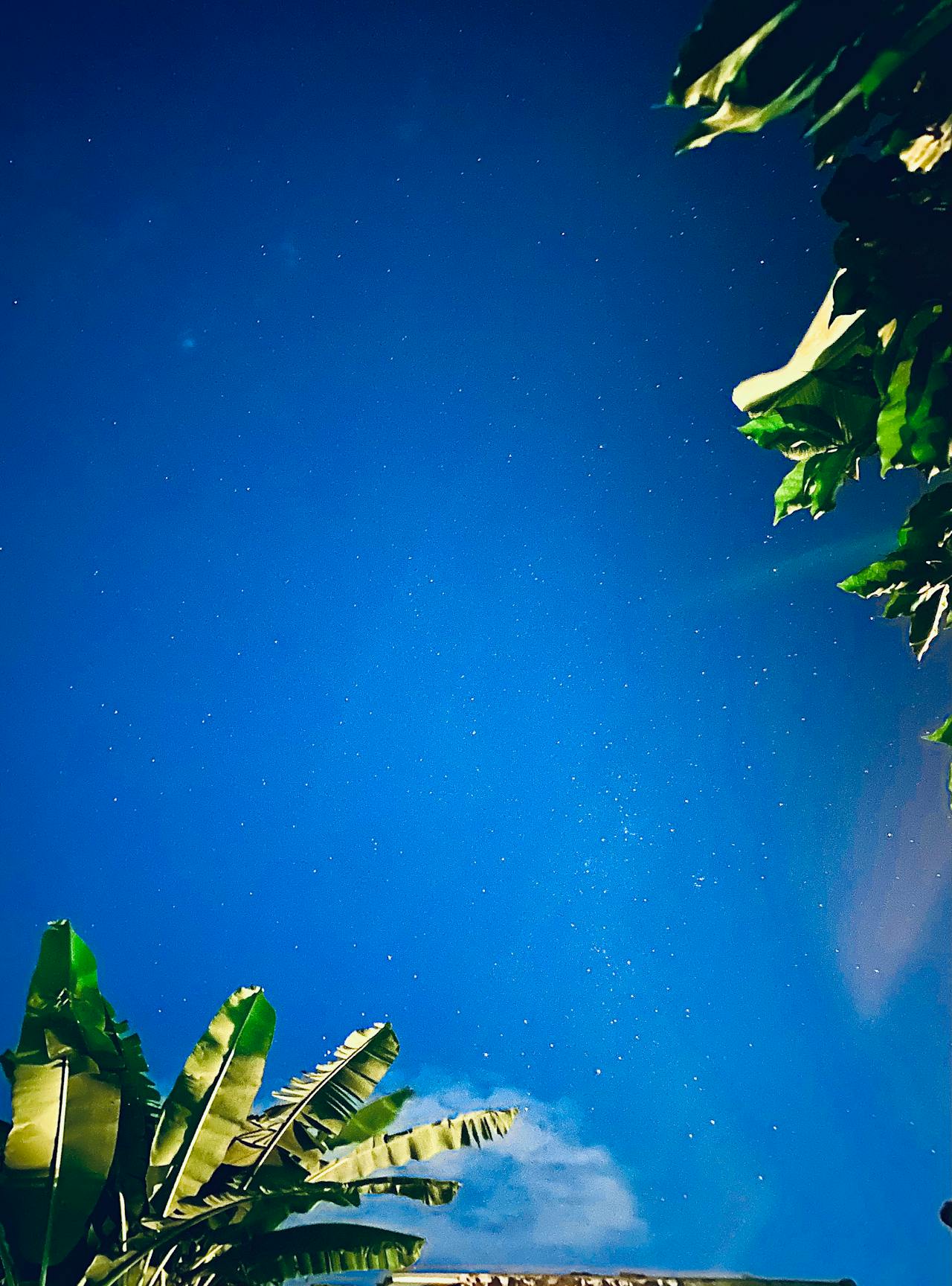 Top 2 Hair & Styling Spots in Kansas City, MO You Need to Visit