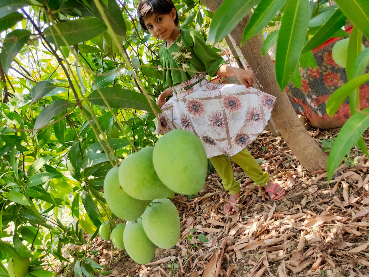 Top 2 Hair & Styling Spots in Katy, TX You Need to Visit