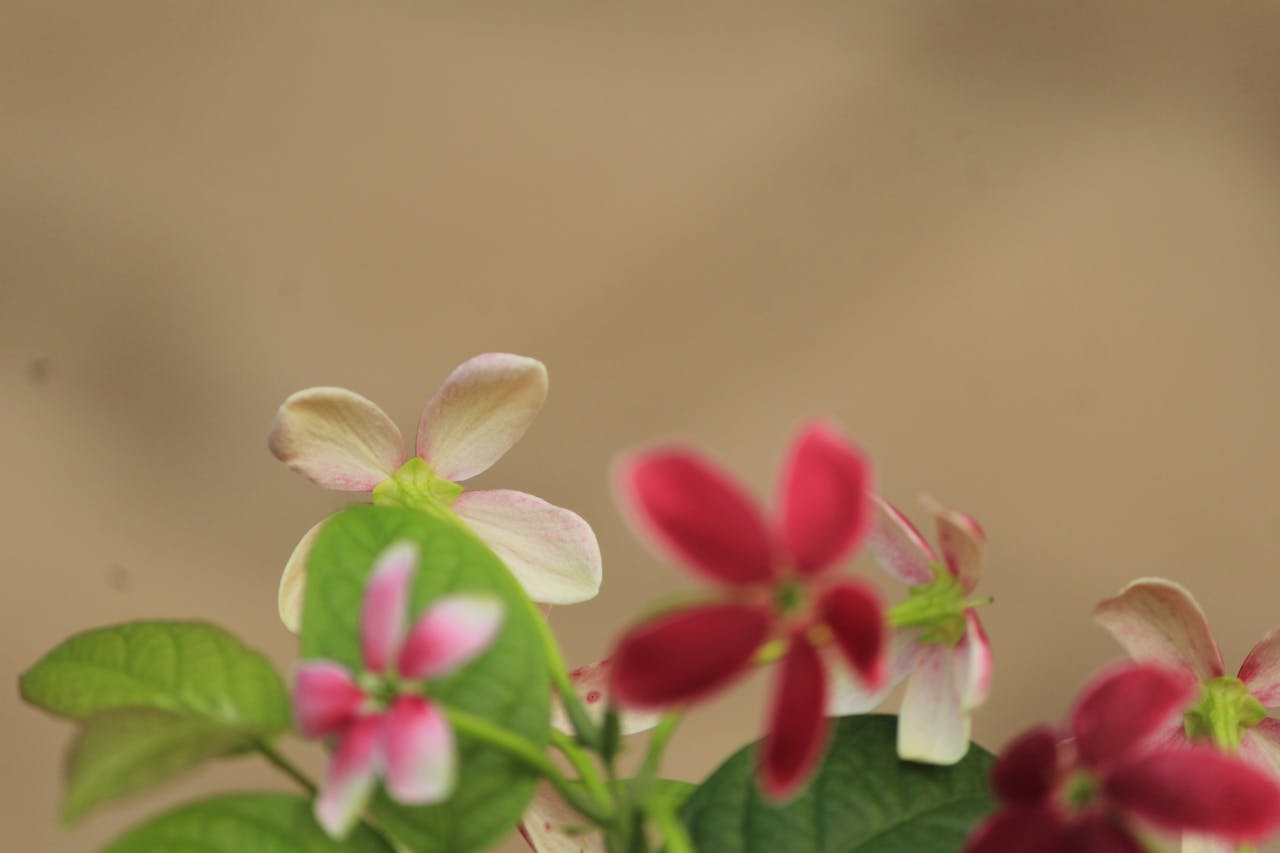 Top 2 Hair & Styling Spots in Roseville, CA You Need to Visit