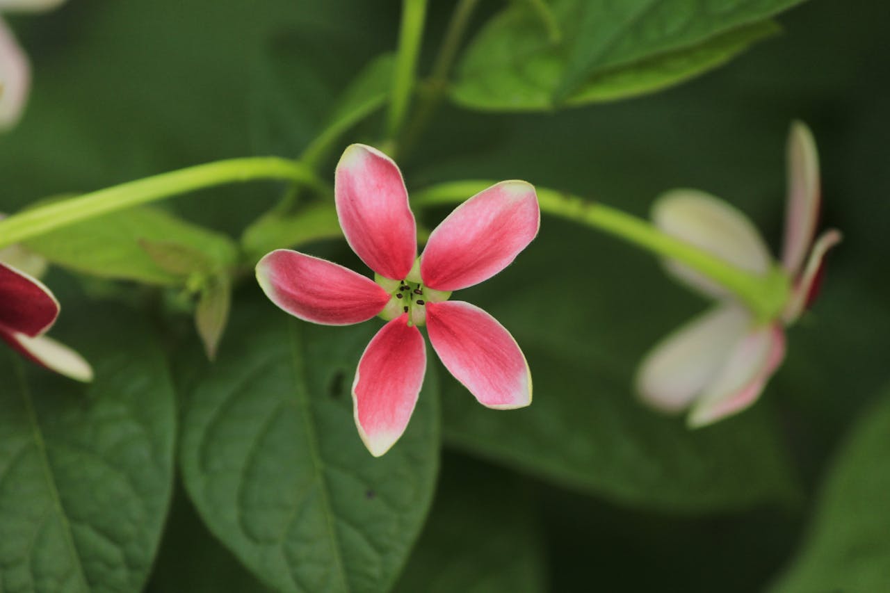 Top 2 Hair & Styling Spots in Silver Spring, MD You Need to Visit