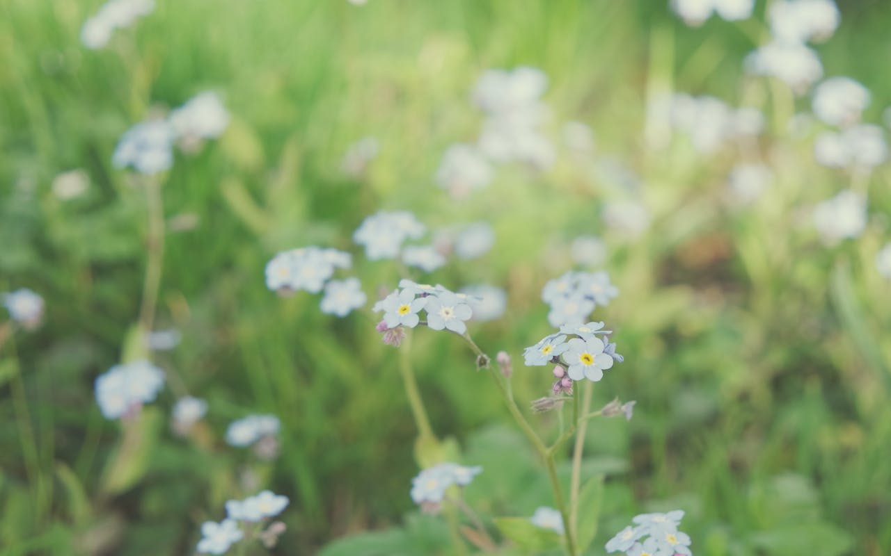 Top 2 Hair & Styling Spots in Vienna, VA You Need to Visit