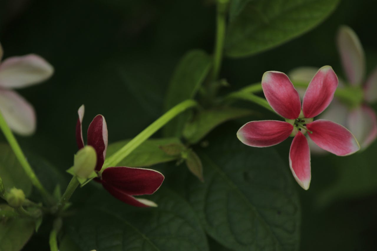 Top 2 Hair & Styling Spots in Vienna, VA You Need to Visit