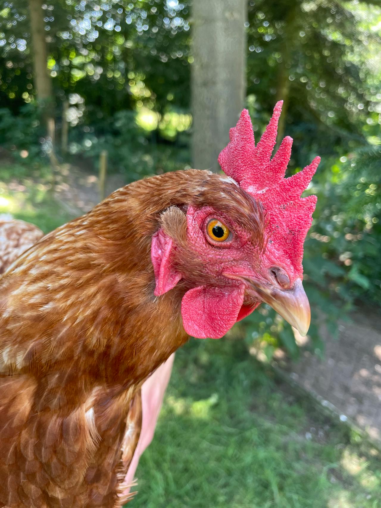 Top 2 Hair & Styling Spots in Windsor Mill, MD You Need to Visit