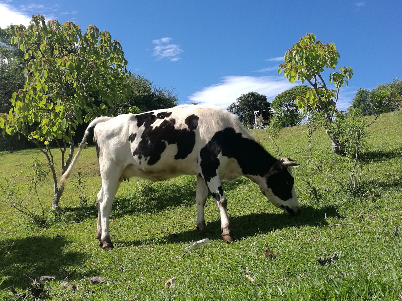 Top 22 Hair & Styling Spots in New York You Need to Visit