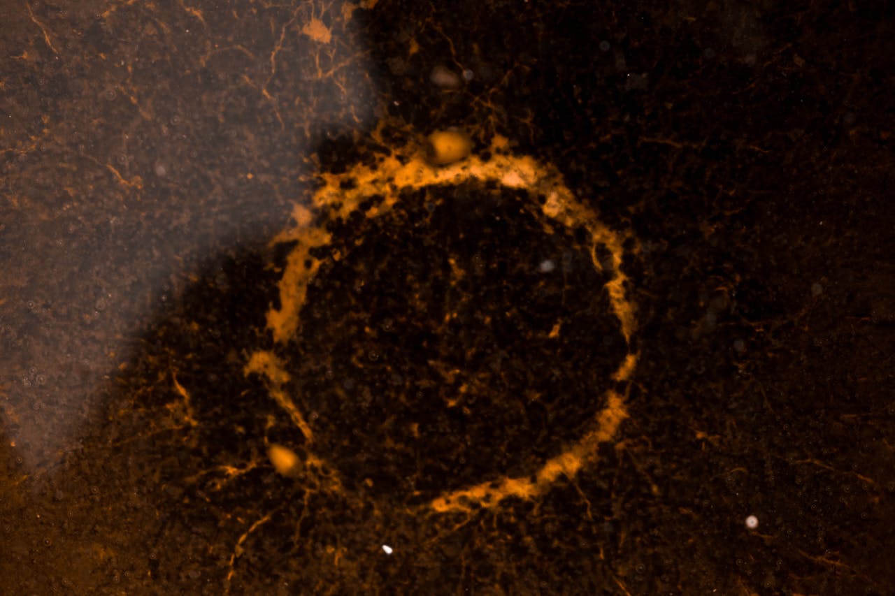 Top 25 Hair & Styling Spots in Maryland You Need to Visit