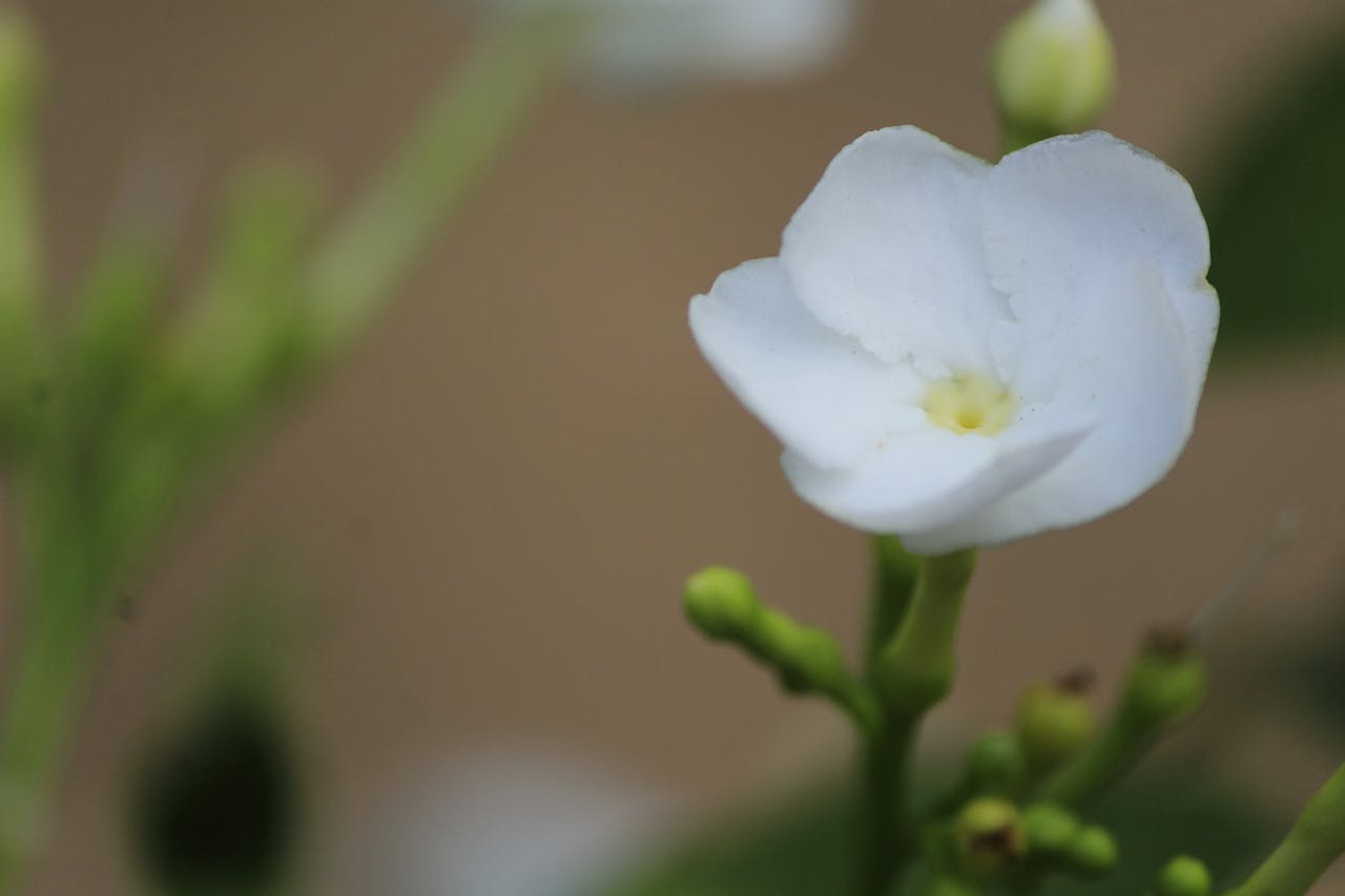 Top 3 Hair & Styling Spots in Alexandria, VA You Need to Visit