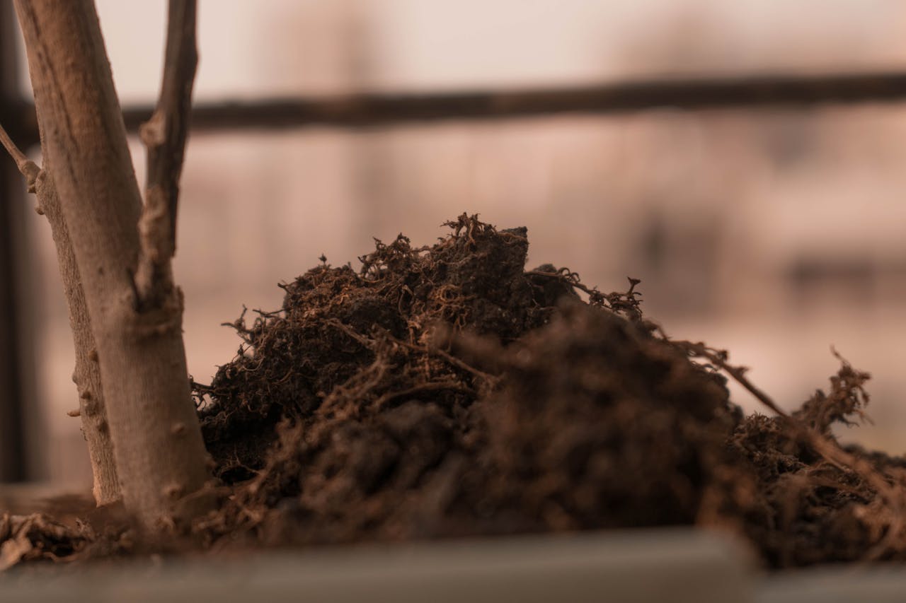 Top 3 Hair & Styling Spots in Alexandria, VA You Need to Visit