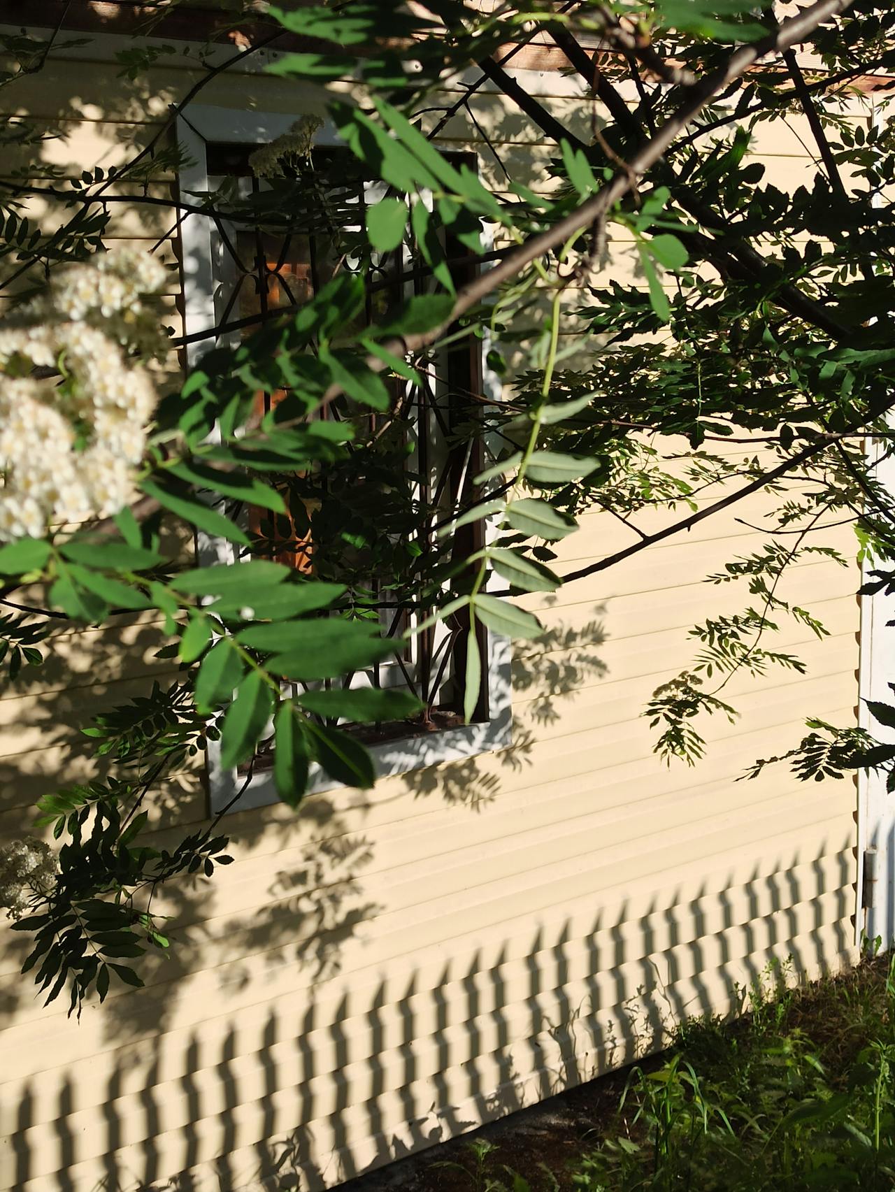 Top 3 Hair & Styling Spots in Charlotte, NC You Need to Visit