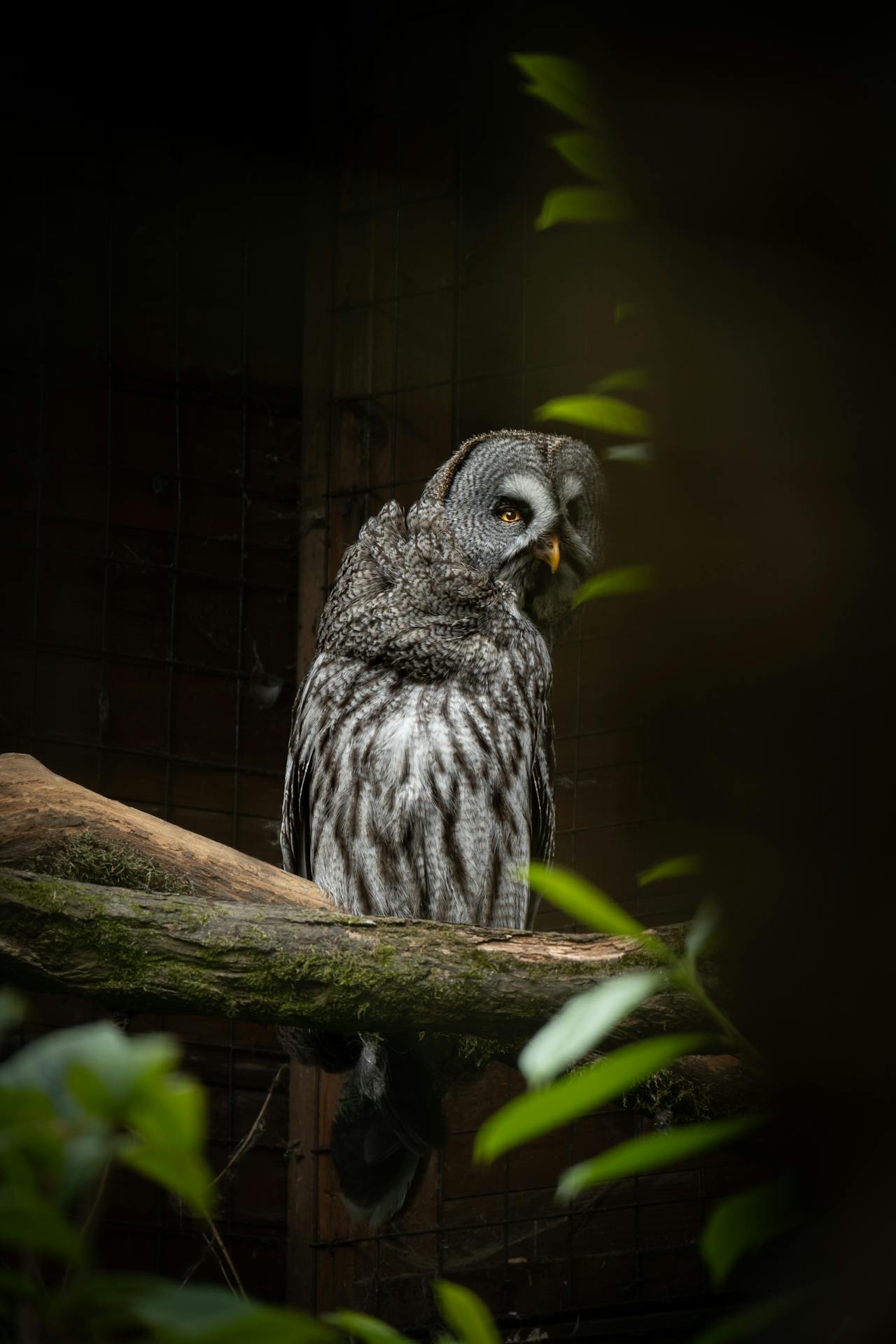 Top 3 Hair & Styling Spots in Los Angeles, CA You Need to Visit