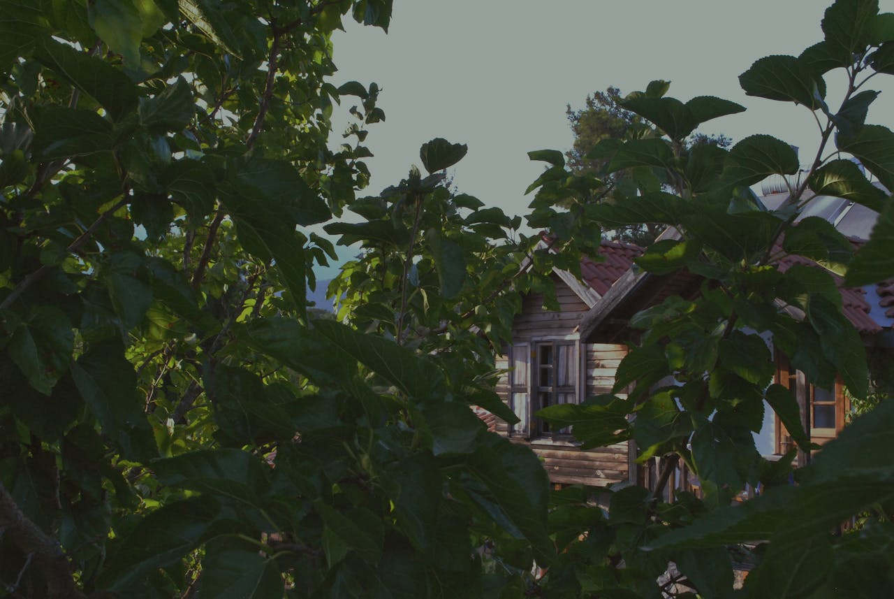 Top 3 Hair & Styling Spots in Orlando, FL You Need to Visit