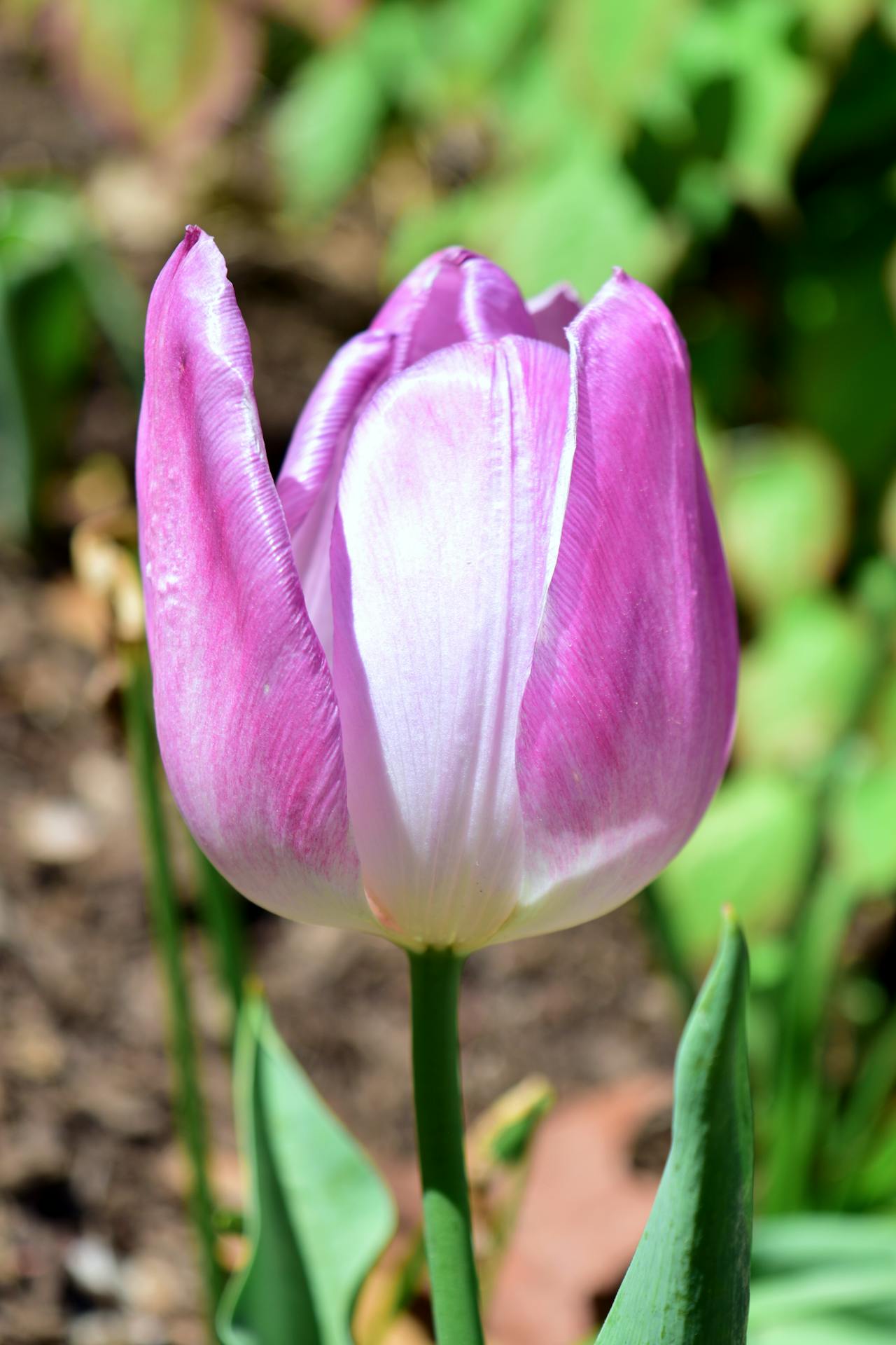 Top 3 Hair & Styling Spots in Phoenix, AZ You Need to Visit