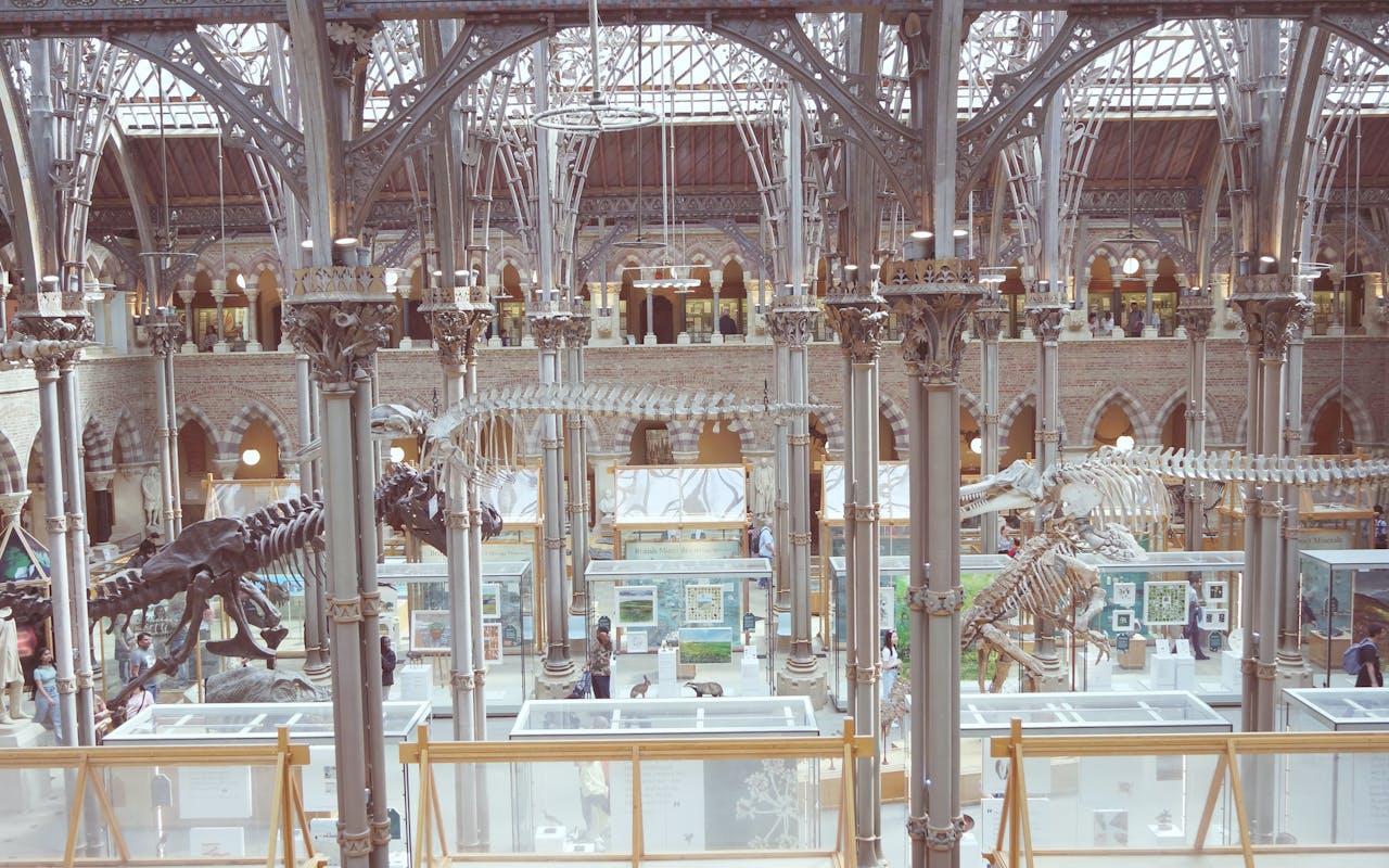 Top 3 Hair & Styling Spots in San Antonio, TX You Need to Visit