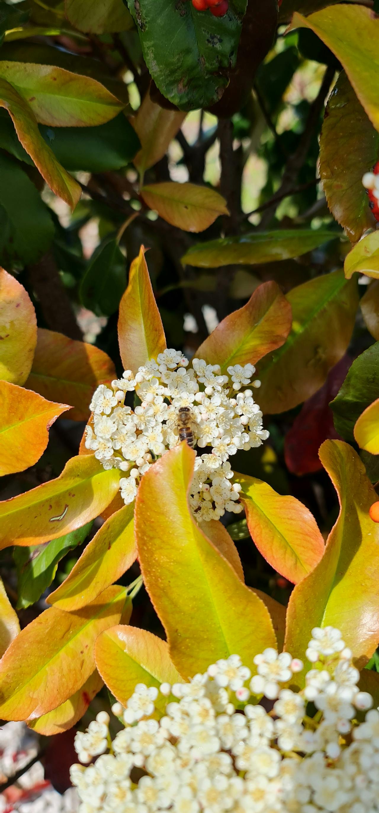 Top 3 Hair & Styling Spots in San Francisco, CA You Need to Visit