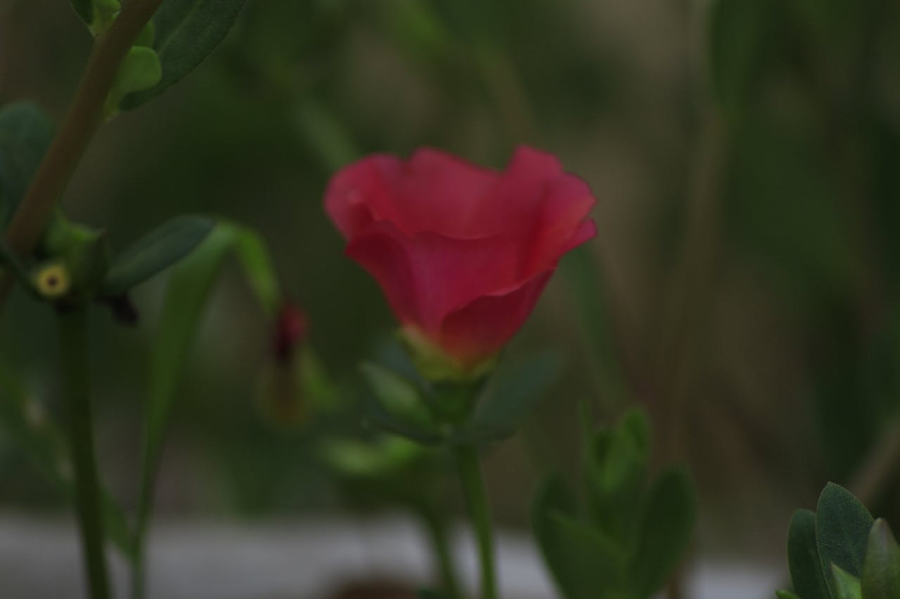 Top 3 Hair & Styling Spots in San Francisco, CA You Need to Visit