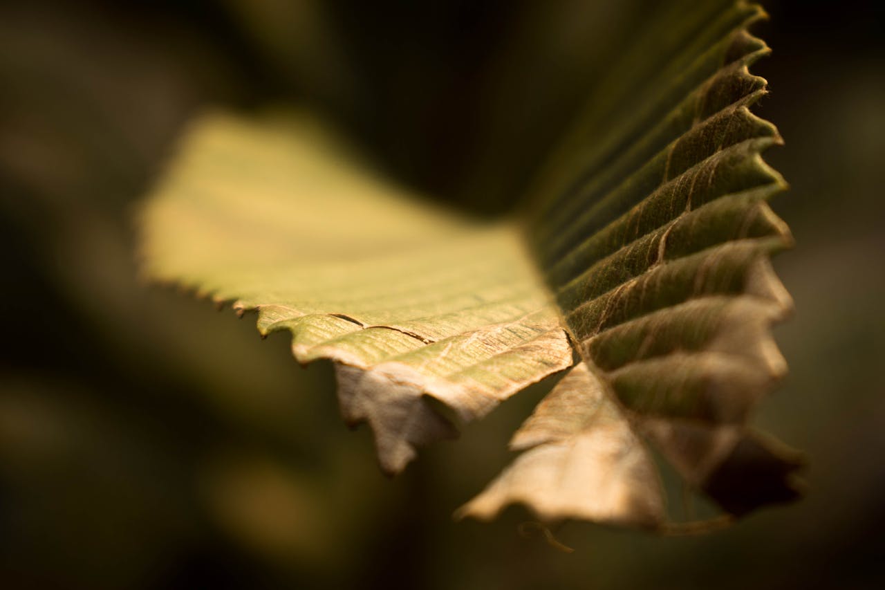 Top 3 Hair & Styling Spots in Scottsdale, AZ You Need to Visit