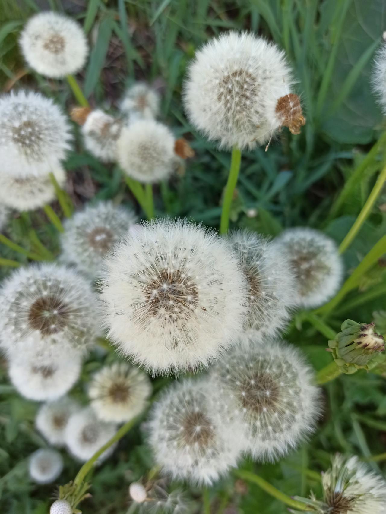 Top 37 Hair & Styling Spots in Texas You Need to Visit