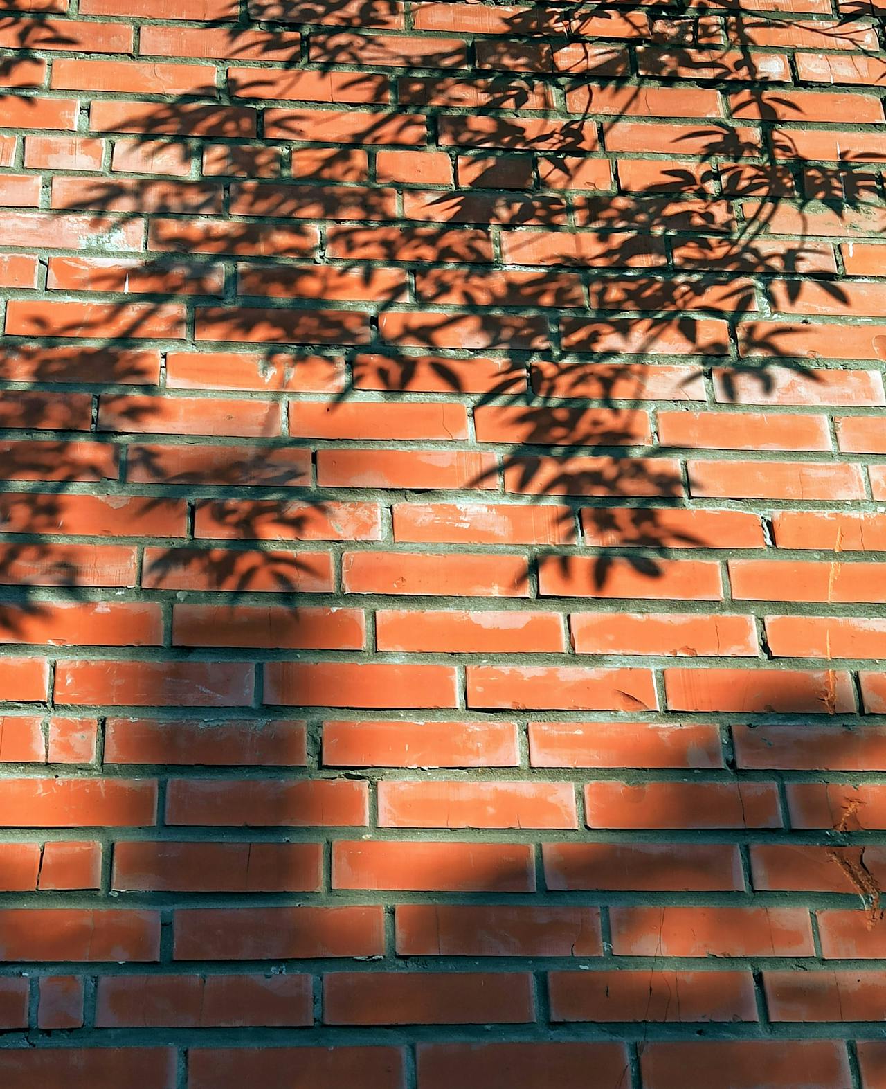 Top 4 Hair & Styling Spots in Arlington, TX You Need to Visit