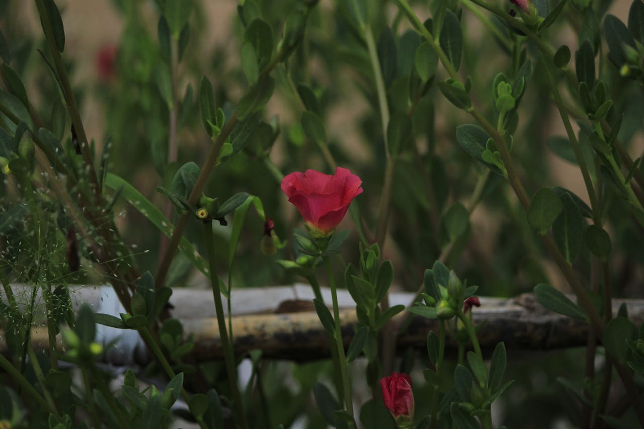 Top 4 Hair & Styling Spots in Arlington, TX You Need to Visit