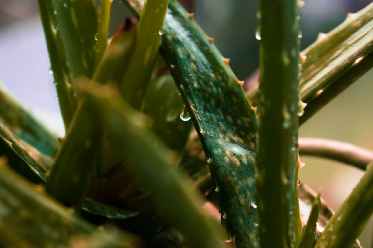 Top 4 Hair & Styling Spots in Colorado You Need to Visit