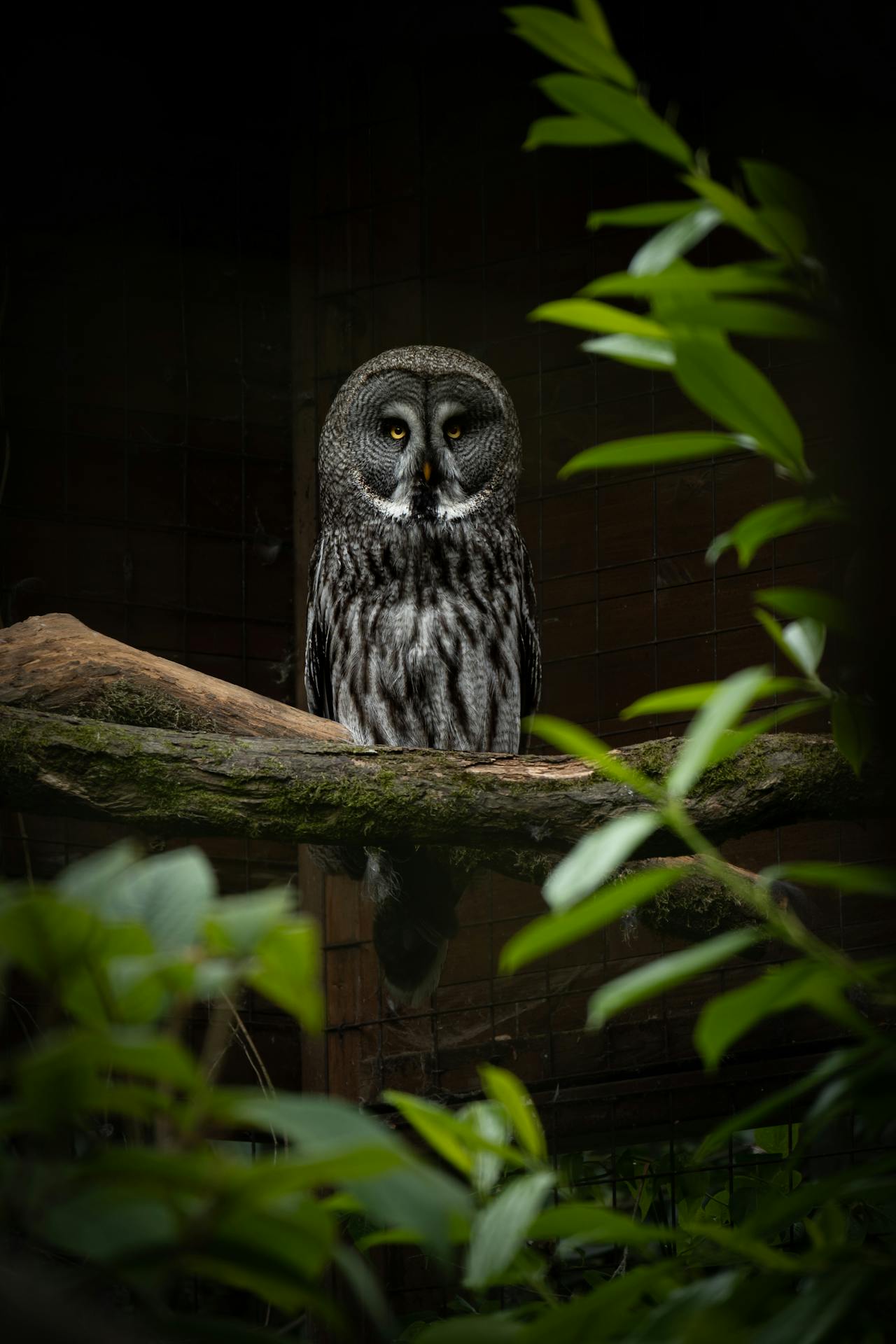 Top 4 Hair & Styling Spots in Colorado You Need to Visit