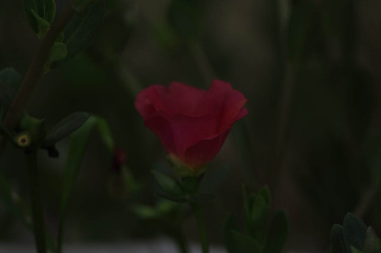 Top 4 Hair & Styling Spots in Massachusetts You Need to Visit