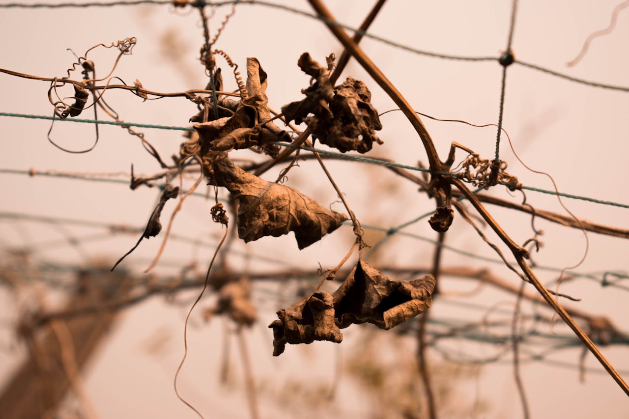 Top 4 Hair & Styling Spots in Massachusetts You Need to Visit