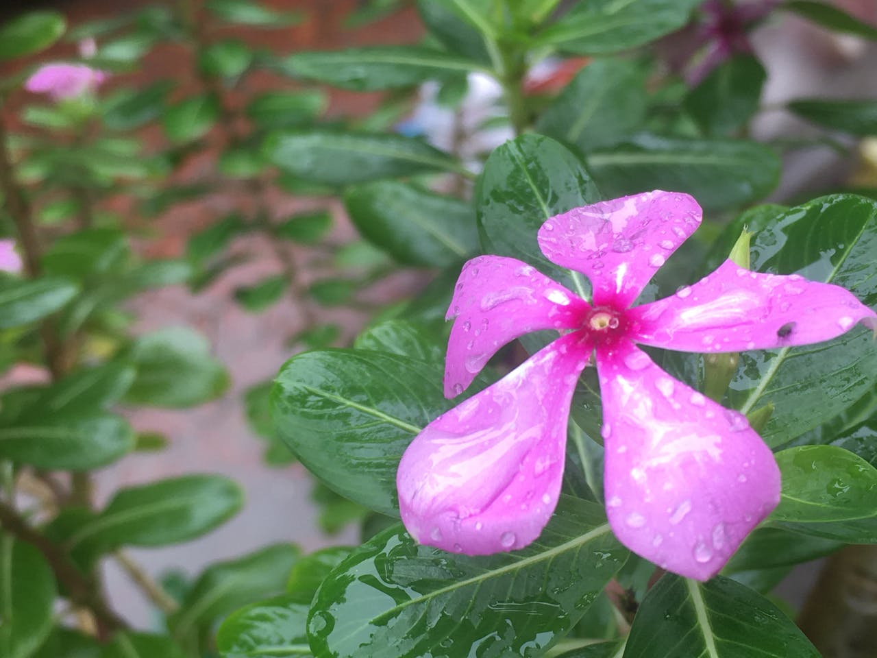 Top 4 Hair & Styling Spots in Massachusetts You Need to Visit