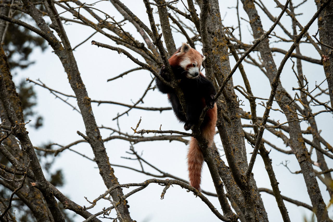 Top 4 Hair & Styling Spots in Tennessee You Need to Visit