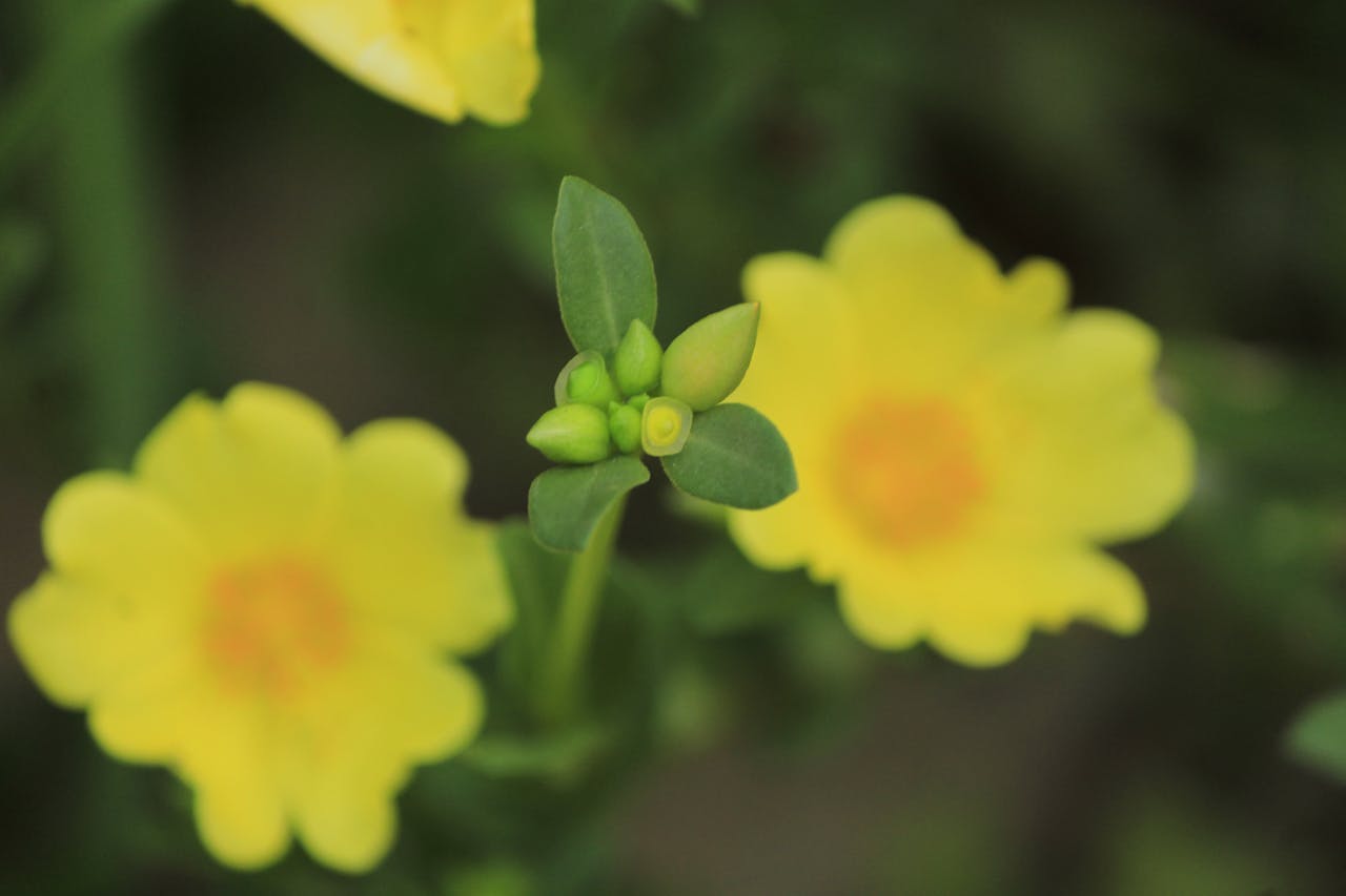 Top 42 Hair & Styling Spots in California You Need to Visit