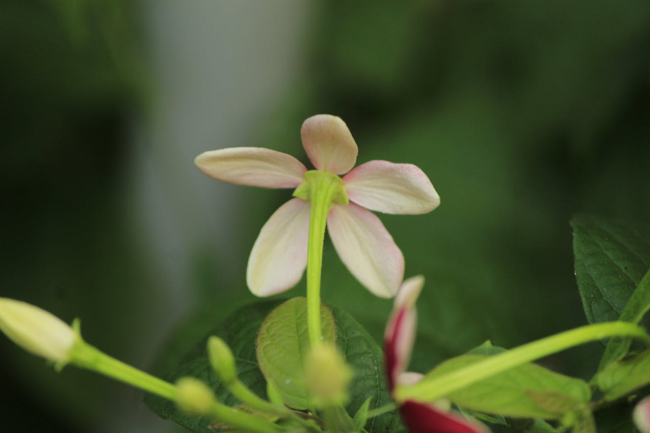 Top 6 Hair & Styling Spots in New York, NY You Need to Visit