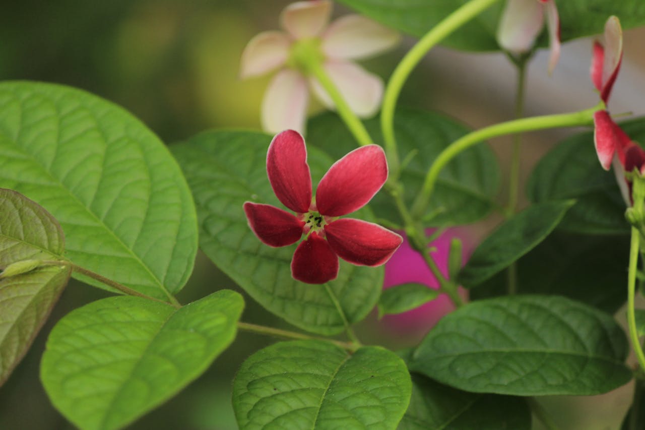 Top 6 Hair & Styling Spots in New York, NY You Need to Visit