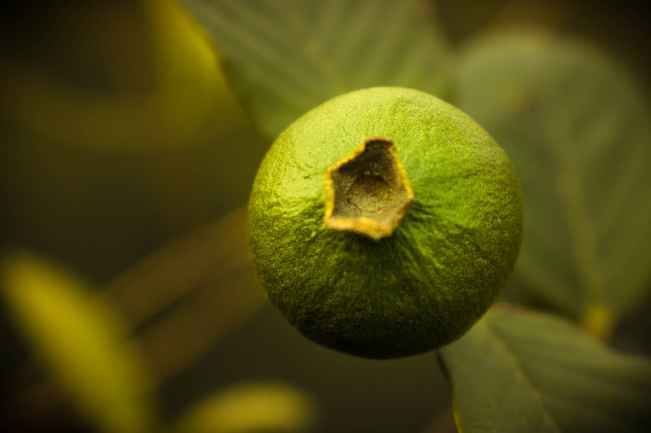 Top 6 Hair & Styling Spots in Ohio You Need to Visit